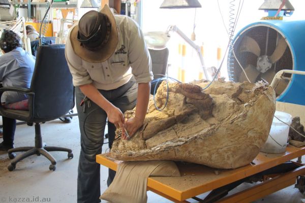 Kathrine demonstrating extracting fossils