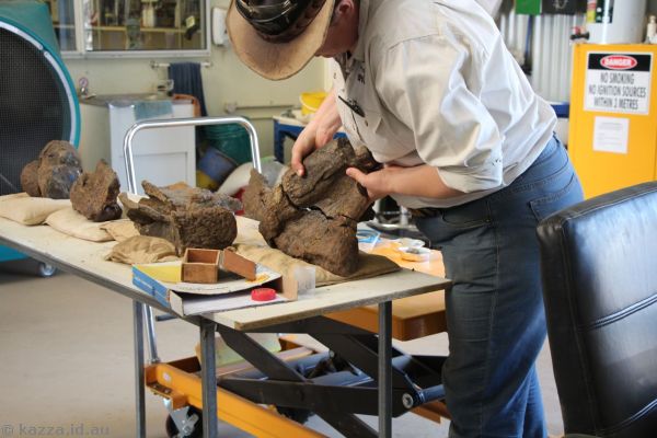 Kathrine demonstrating reconstructing fossil bones