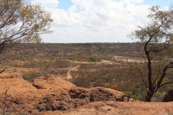 View on the walk between the fossil preparation laboratory and the museum