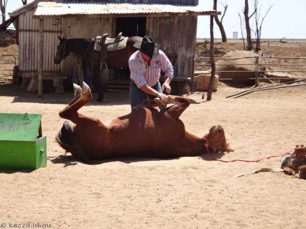 Lachie Cossor and an impressive relationship with this horse