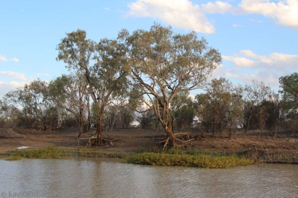 Thomson River waterfront
