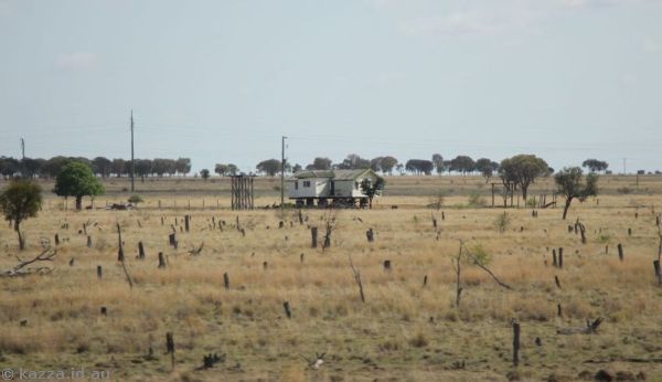 House on supports outside of Barcaldine