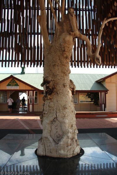 The remains of the trunk of the Tree of Knowledge