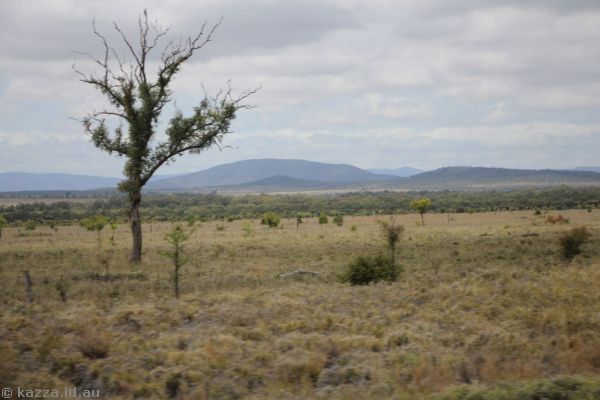 Landscape in central Queensland