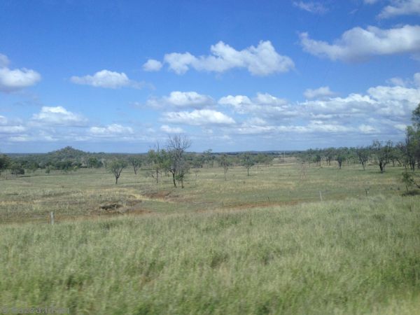 Landscape in central Queensland