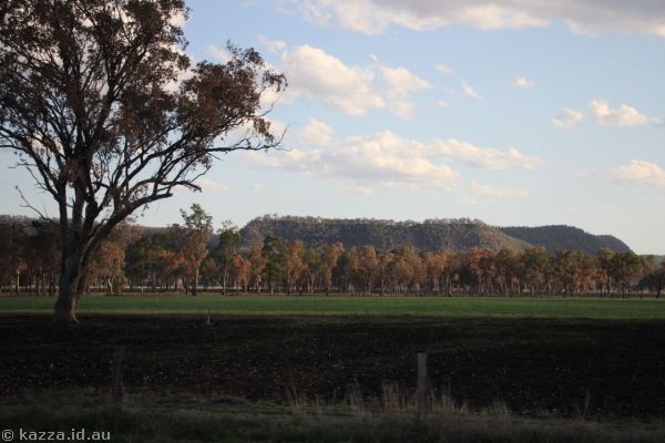 Countryside east of Carnarvon Gorge
