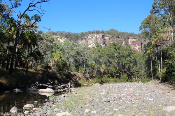 Carnarvon Gorge