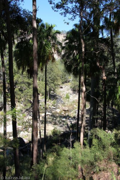 Carnarvon Gorge