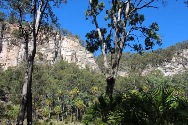 Carnarvon Gorge