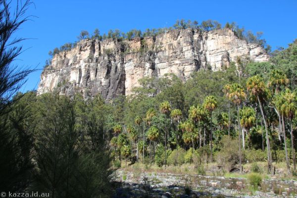 Carnarvon Gorge