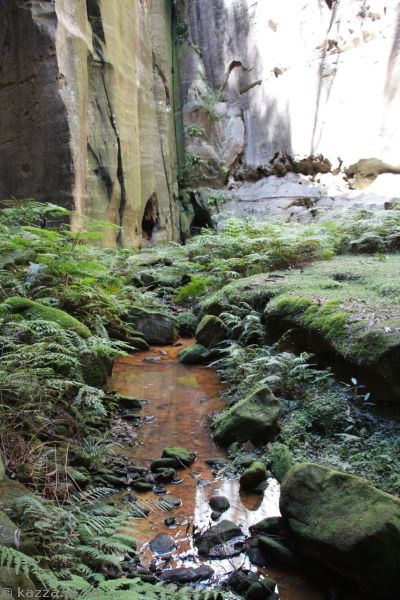 Creek in the Amphitheatre