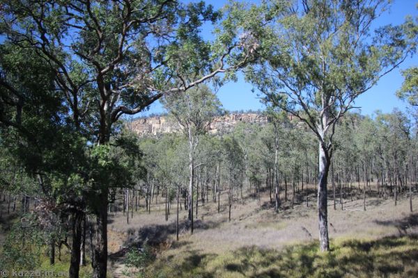 Countryside southeast of Carnarvon Gorge