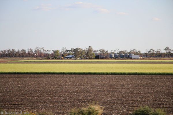 Countryside near Dalby