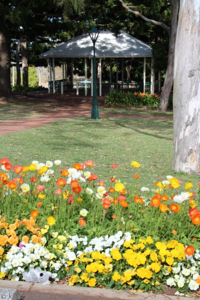 Park and flowers at Picnic Point