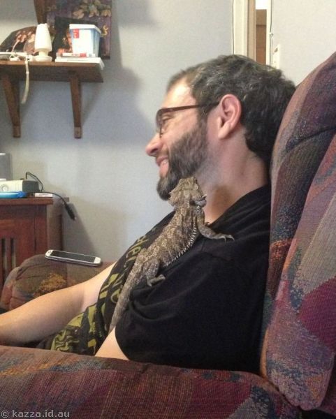 David and the bearded dragon