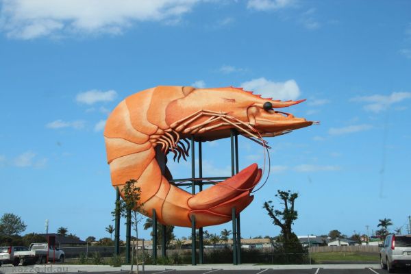 The Big Prawn at Ballina