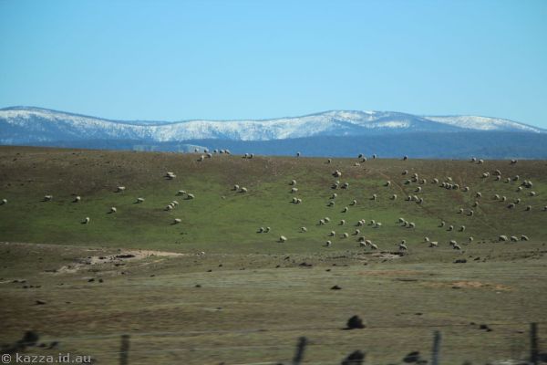 I once drew a picture very similar to this on my computer using Paint