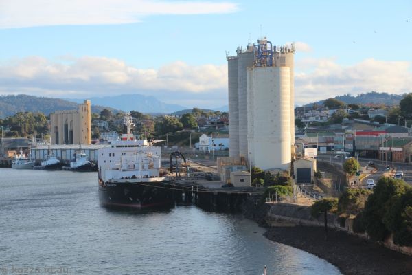 Goliath cargo ship and silos in Devonport