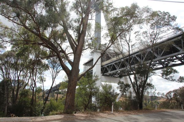 Batman Bridge from below