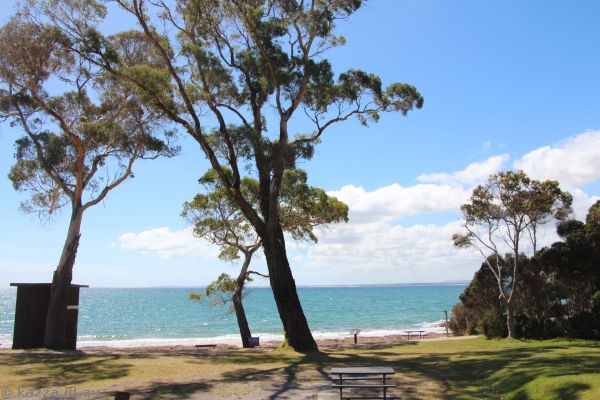 Bass Strait from the Bridport Seaside Caravan Park