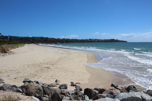 Goftons Beach in Bridport