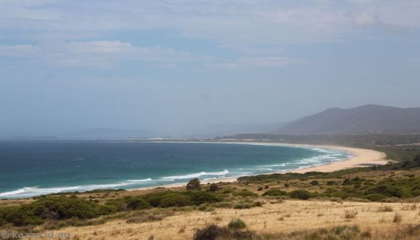 View of Lagoons Beach from the Tasman Highway