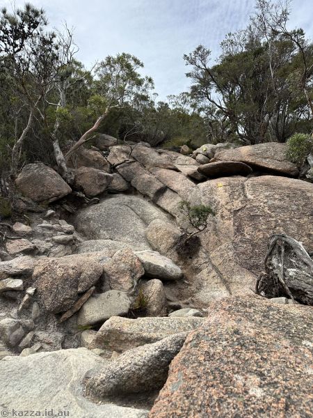 You want me to get up that?