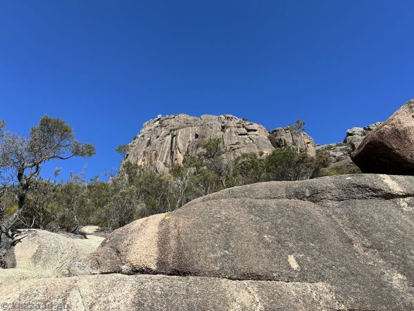 View back to Mt Amos from the path down
