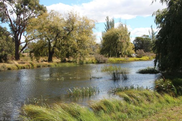 Elizabeth River at Red Bridge