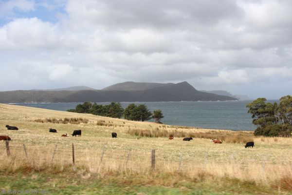 View to Cape Pillar in Tasman National Park