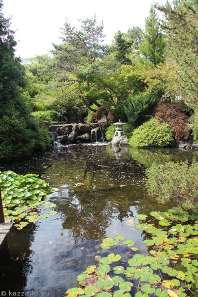 Japanese garden