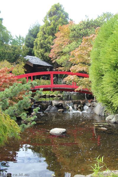 Japanese garden