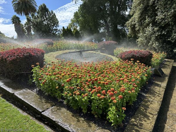 The Floral Clock