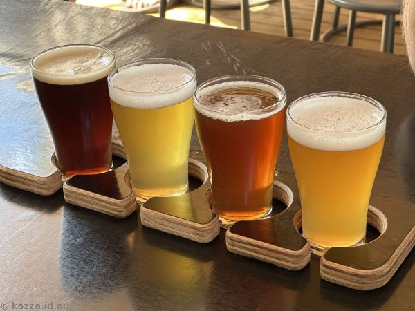 Beer sample paddle