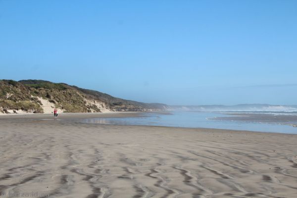 Ocean Beach