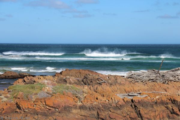 Waves off the coast