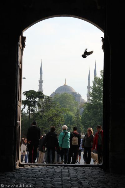 View towards the Blue Mosque from Topkapi Palace (with pigeon)