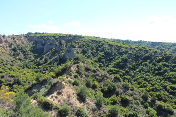 View to Monash Gully from Plugges Plateau