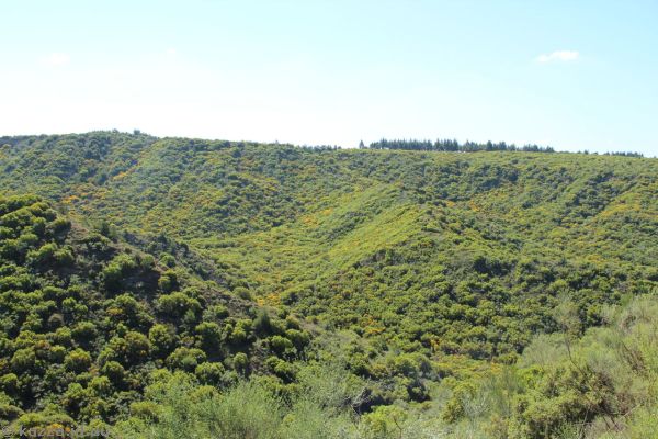 View to Monash Gully from Plugges Plateau